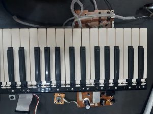 Teclas Teclado Yamaha Psr550 Avulsas ou Completa